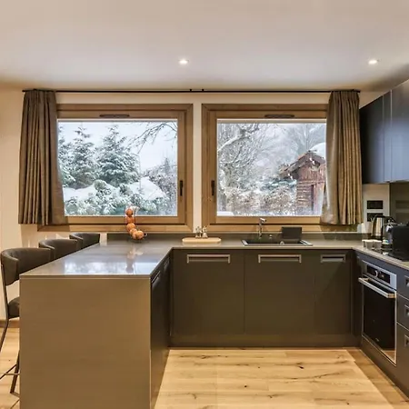 Jacaranda1 Sublime 8pax 100m2 Vue Mtblanc Parking Chamonix